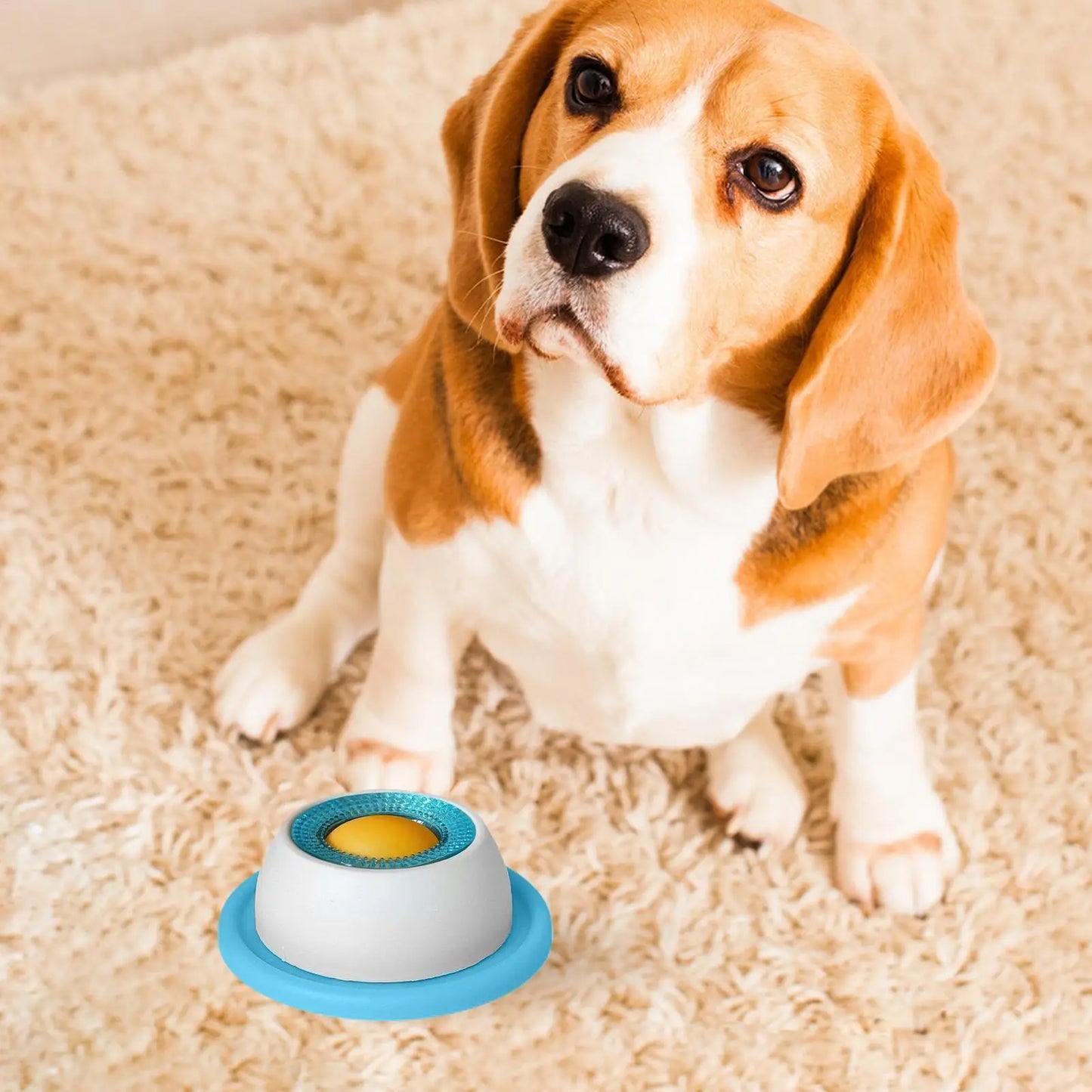Pet Feeding Dog Treat Toy
