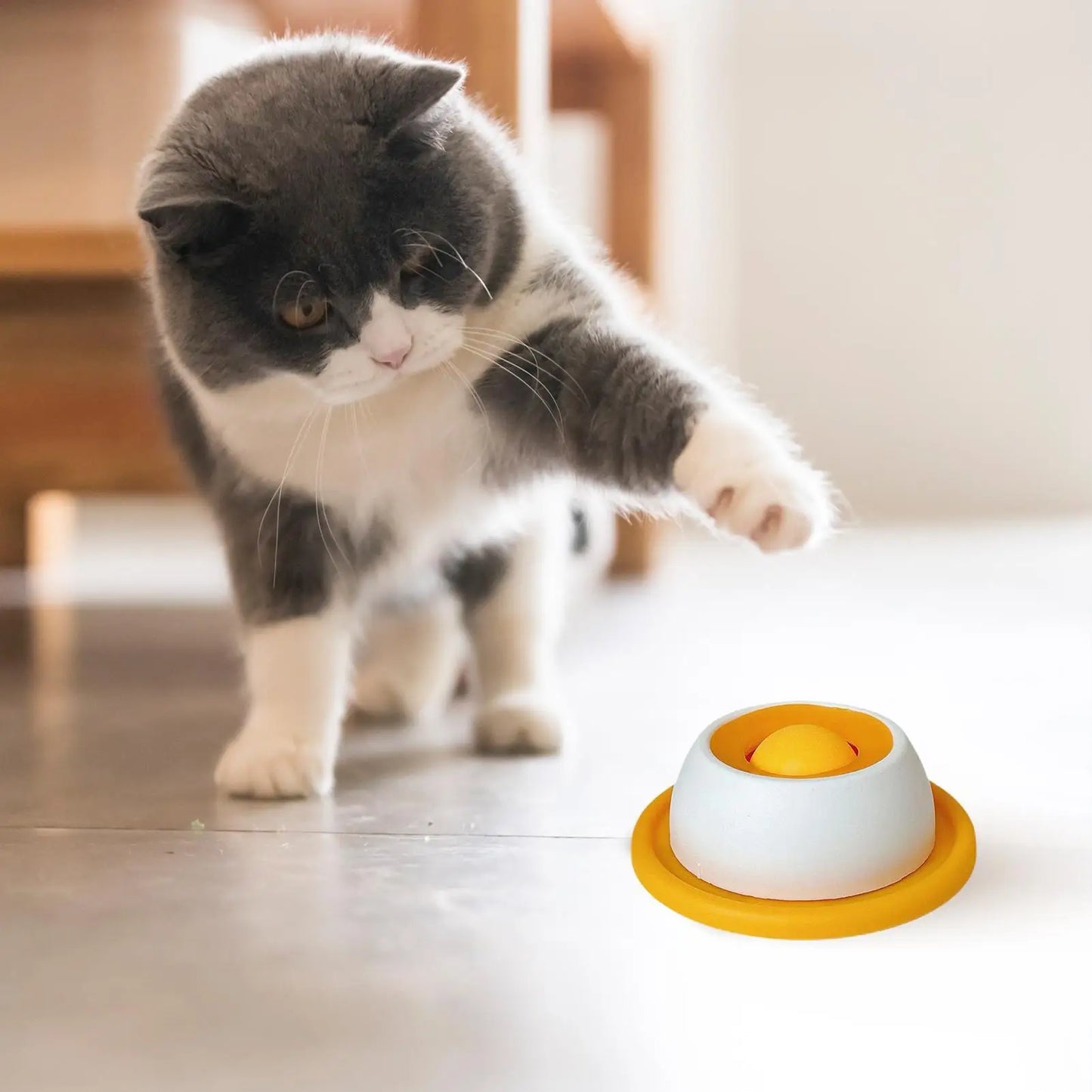 Pet Feeding Dog Treat Toy