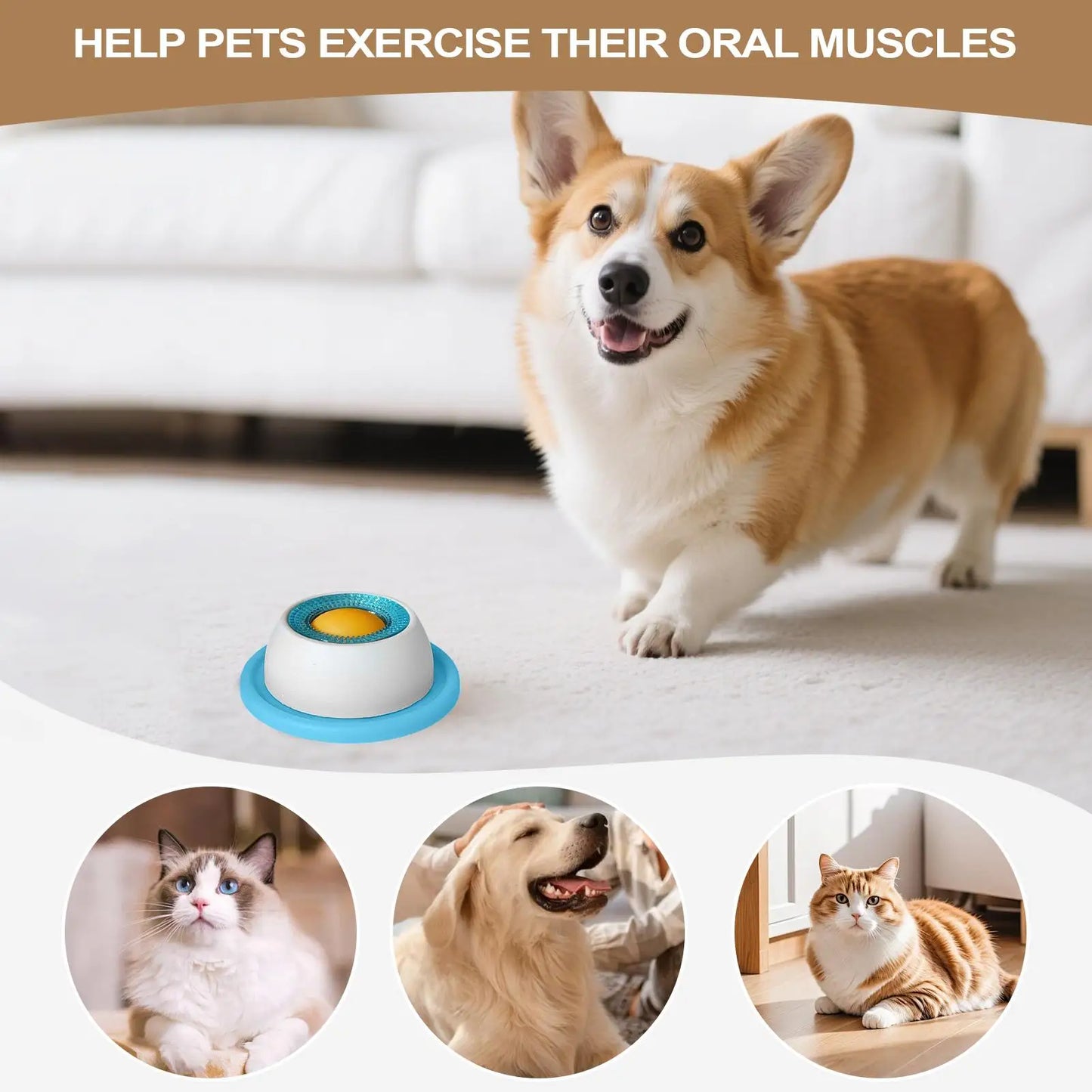 Pet Feeding Dog Treat Toy